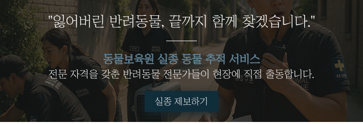 강아지탐정, 고양이탐정, 전문 자격을 갖춘 전문가들이 실종된 반려동물을 찾아드립니다.